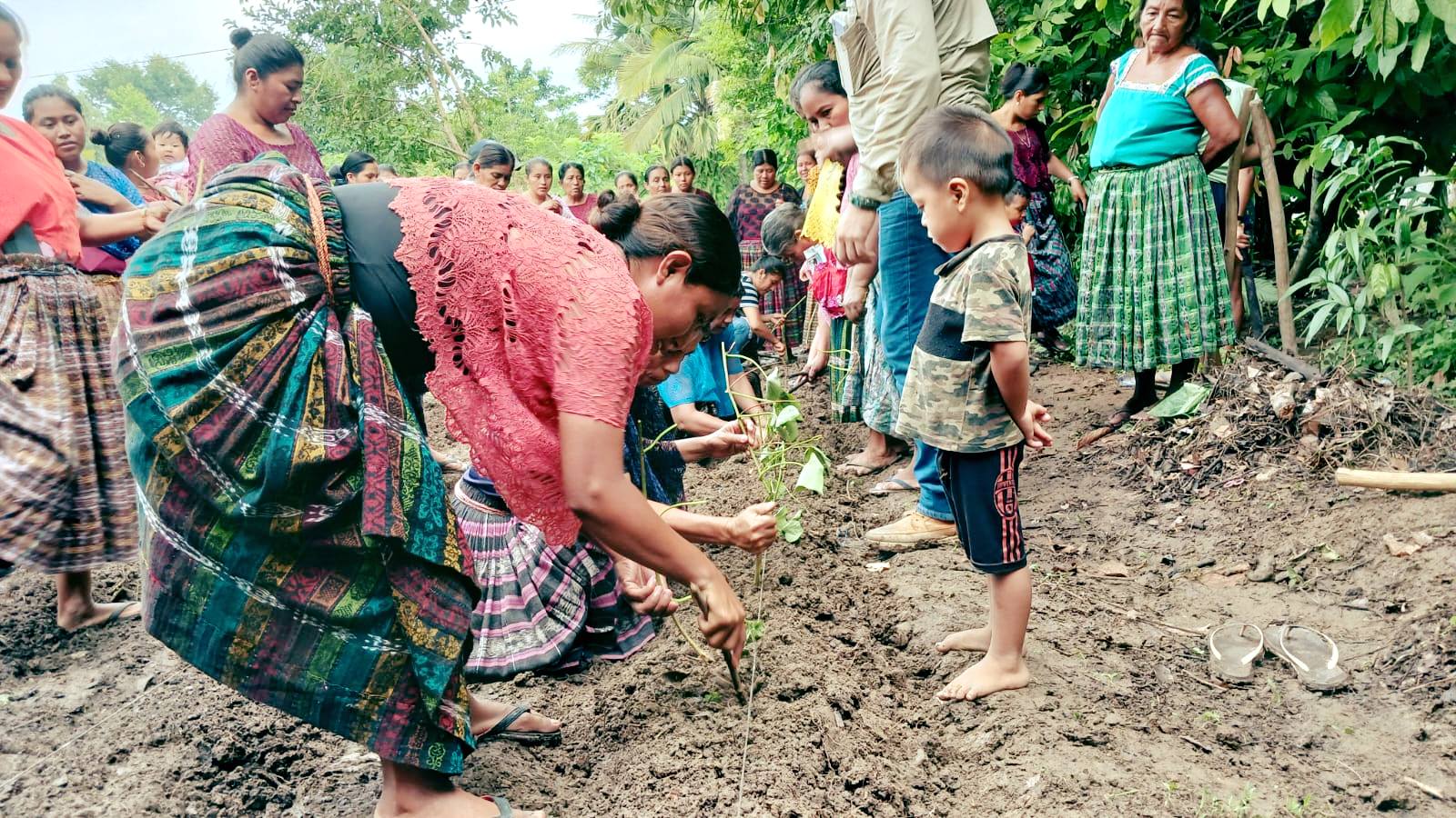 Honestidad y transparencia